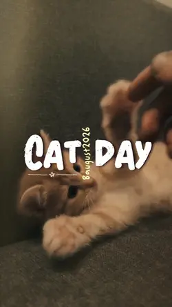 Cat day 2026