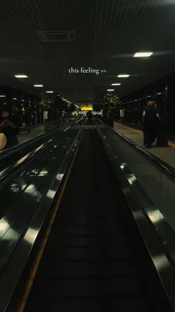 This feeling ✈️