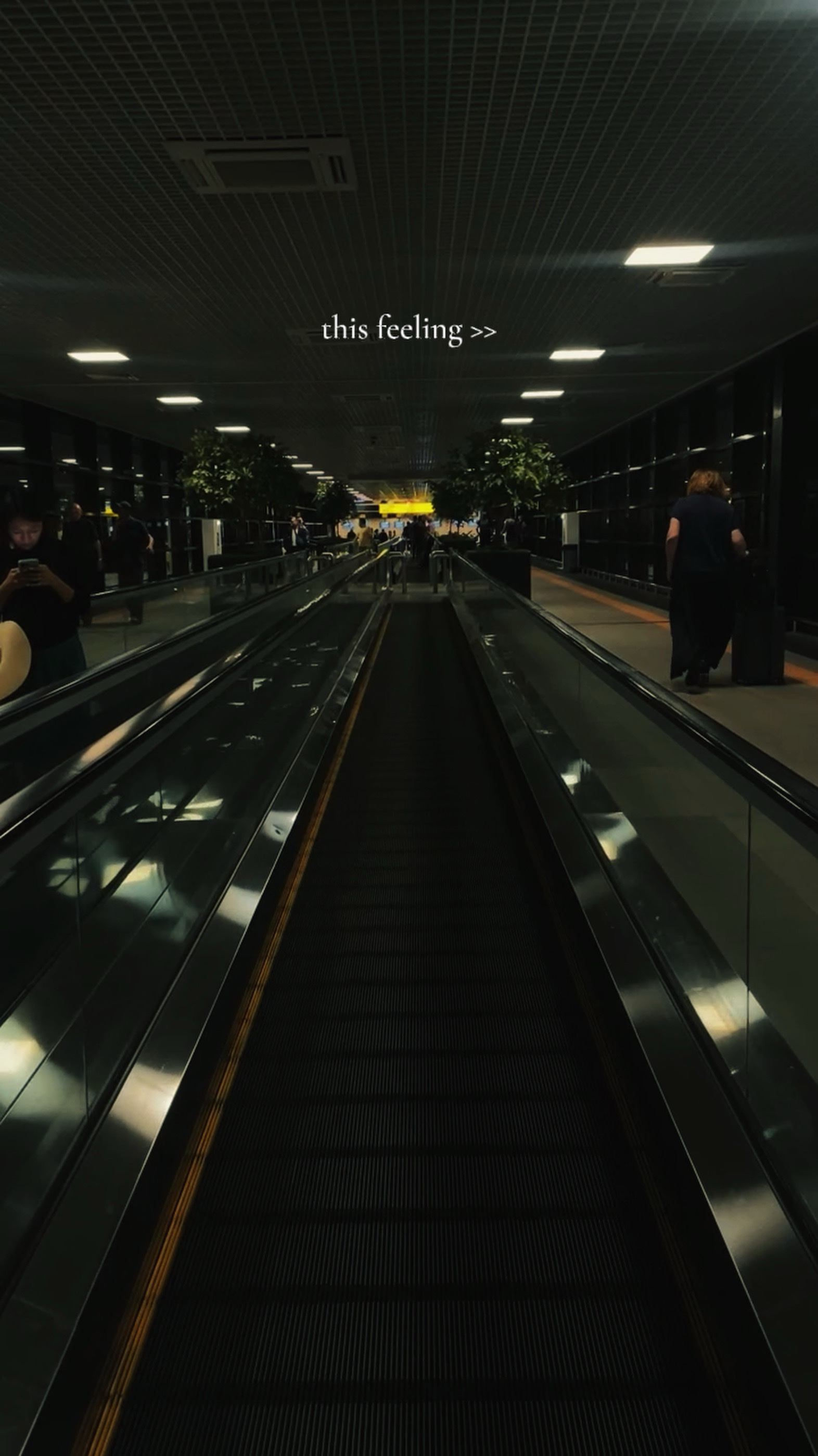 Este sentimiento ✈️
