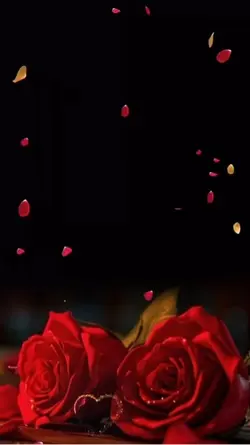 🌹CORAZÓN ROMANTICO ♥️