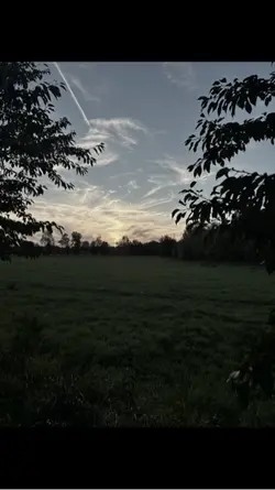 Erinnerungen 