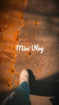 Mini Vlog