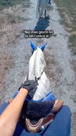 L'unico sì