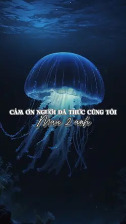 Cũng cảm ơn hôm qua