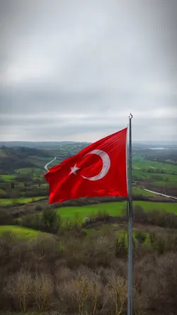 nerden bilsin