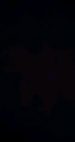 Bu nasıl sevda