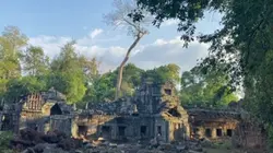 ស្នេហ៍ឆ្លងវេហា