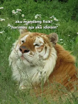 TEKS BISA GANTI