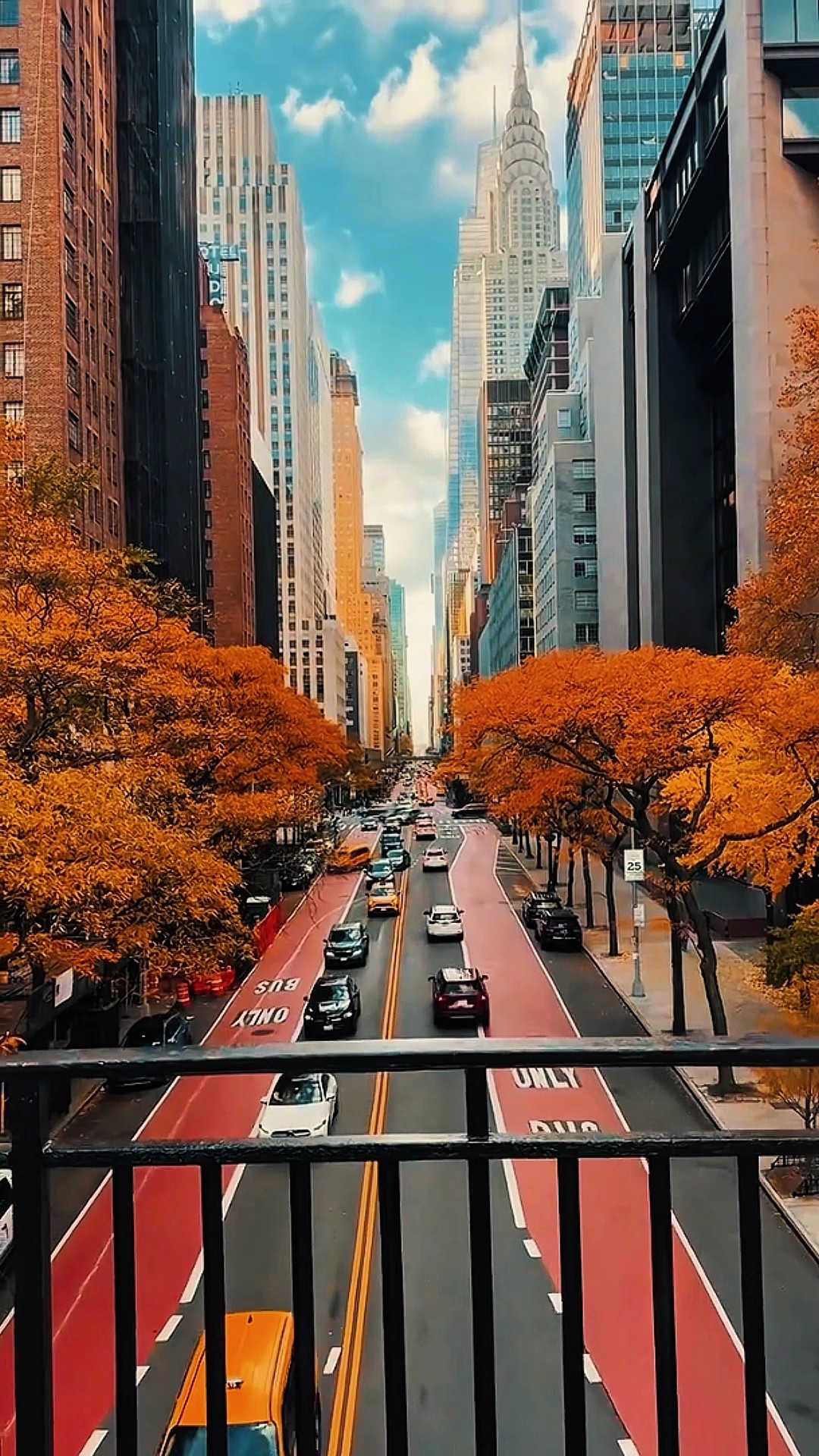 Videos Cinematic 