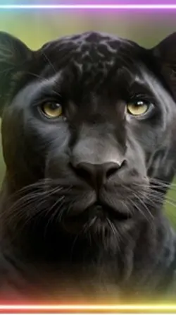Black panther 