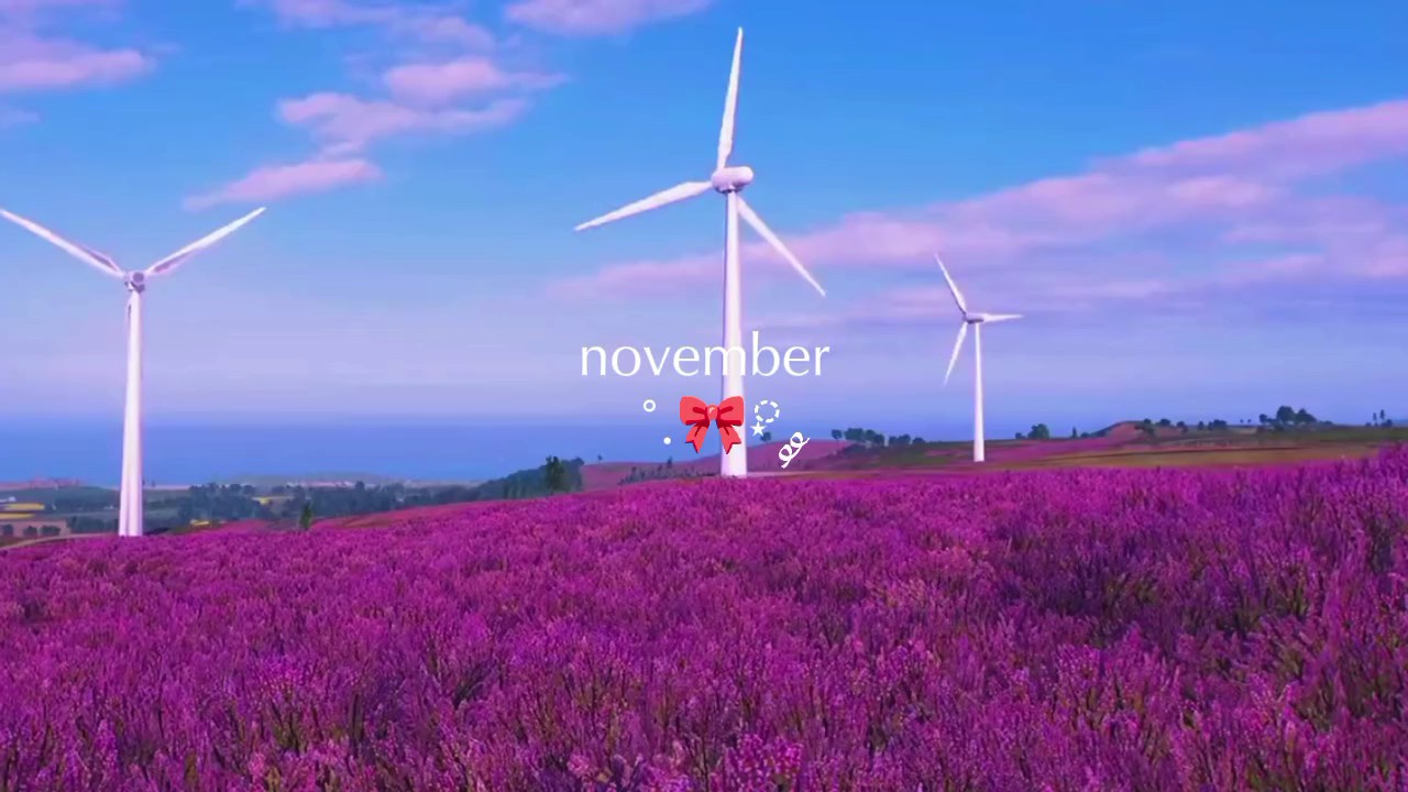Noviembre