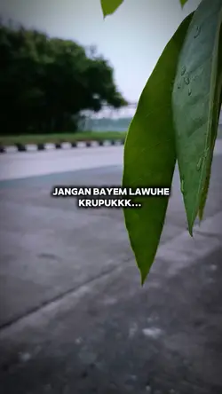 jangan bayem lawuhe