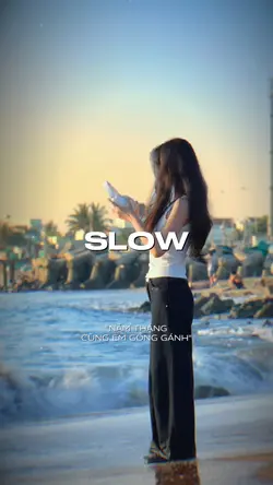 1 VID/PIC
