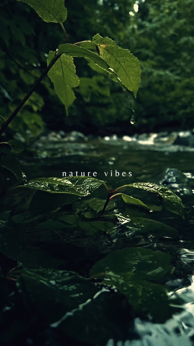 nature vibes