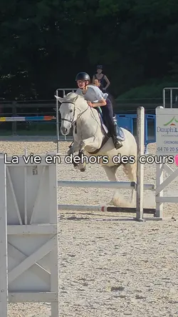 Horse life 