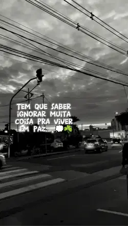 mente a milhão slk 