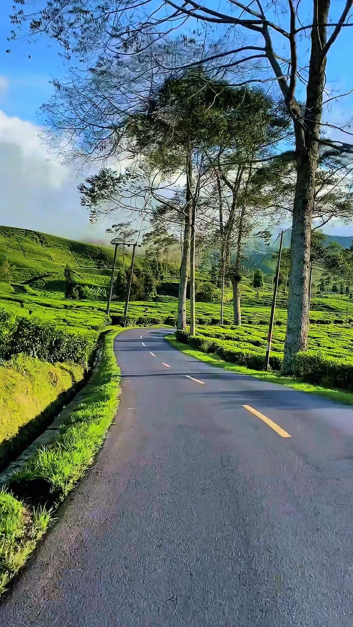 6 video road trip