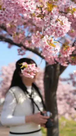 Sakura Intezar Roman