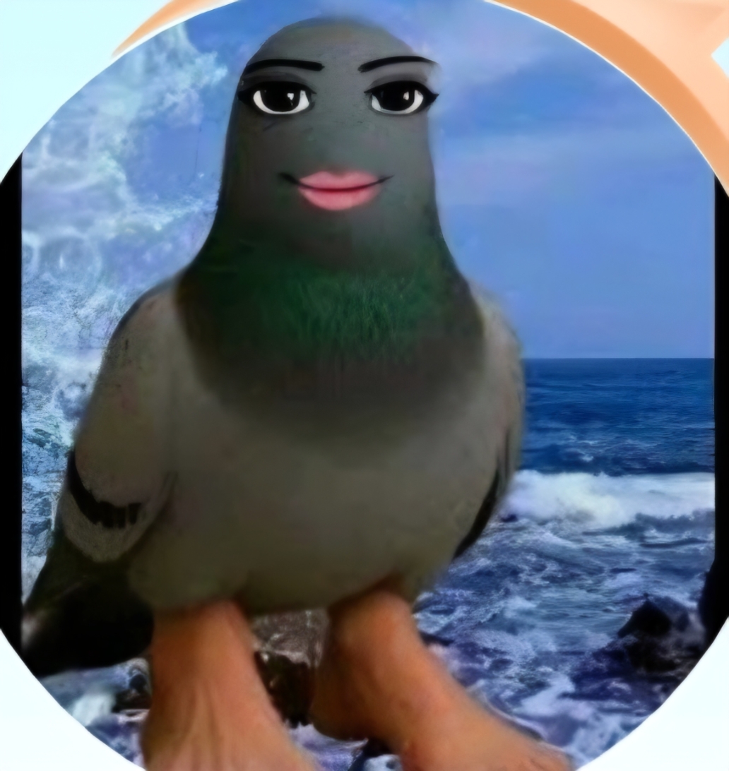 pidgeon