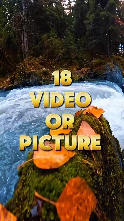 18 video or picture 