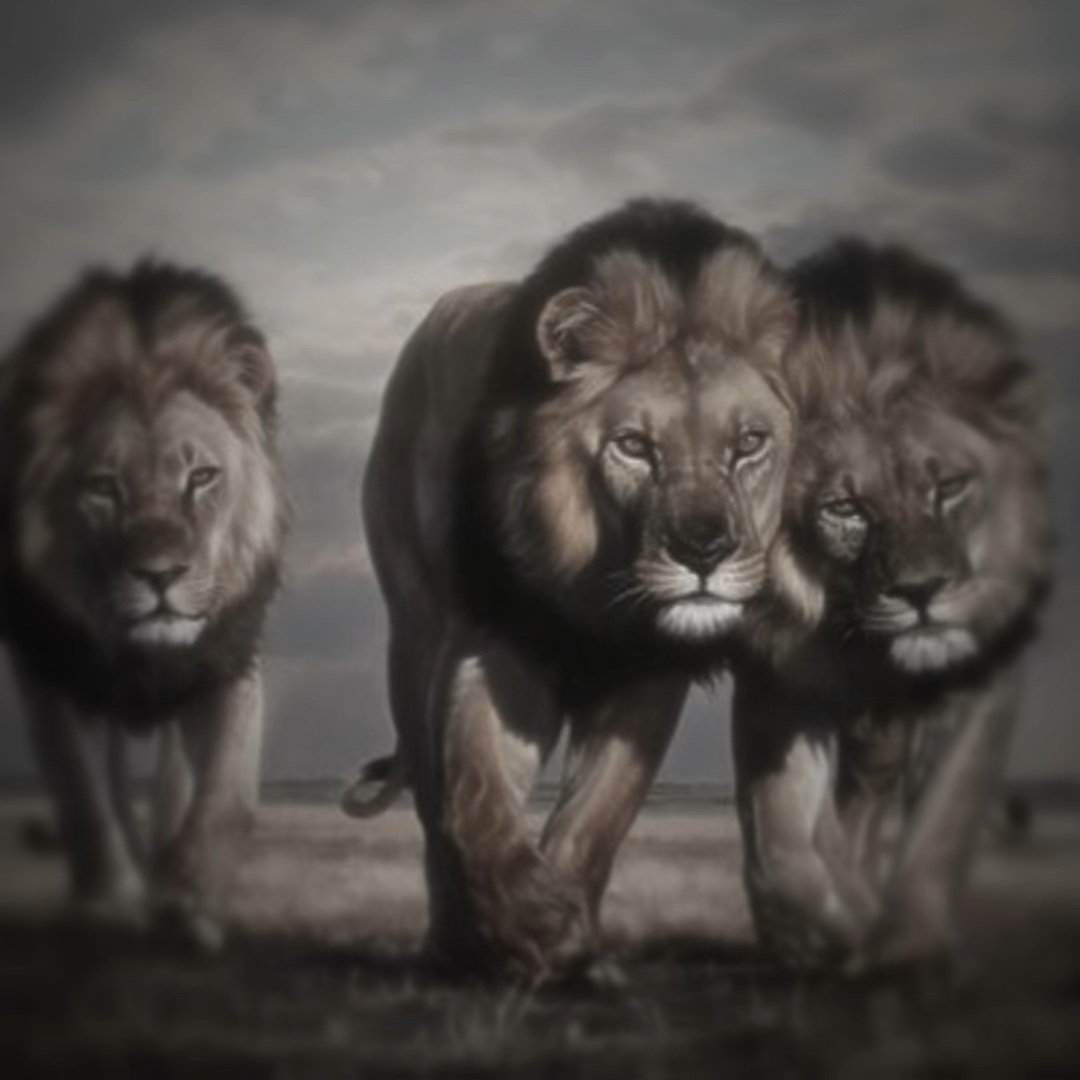 ฟีดใครให้20