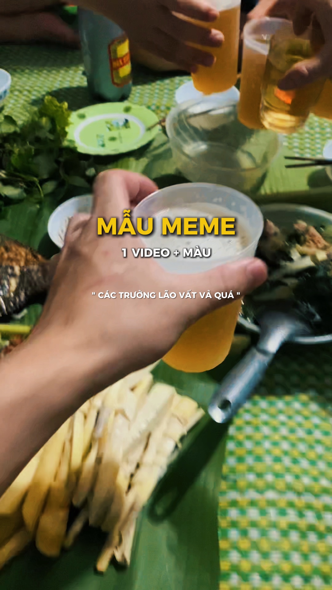 Các trng lão vất
