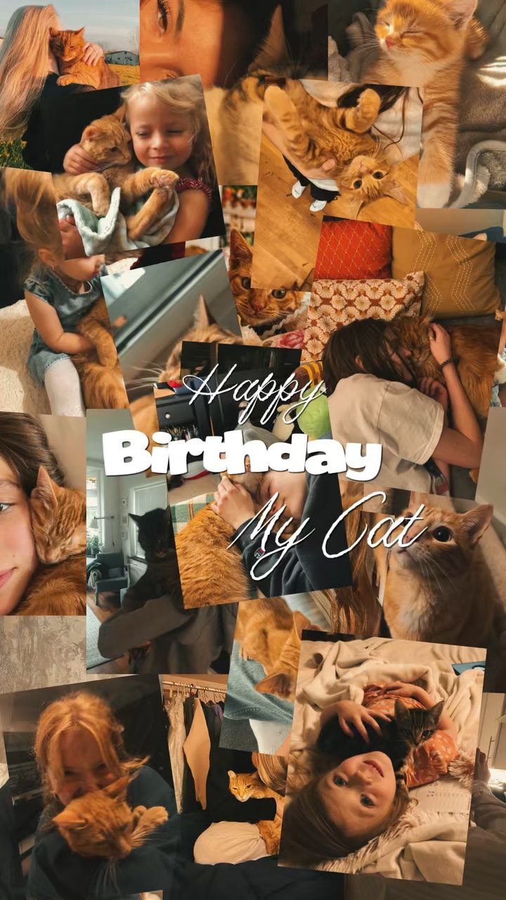 Aniversário Meu Gato