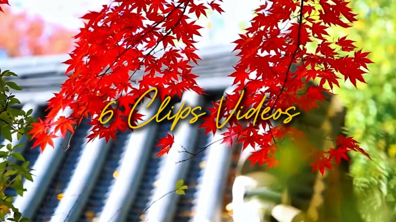 CINEMATIC 6 VIDEOS 