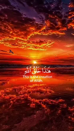 #قرآن_كريم