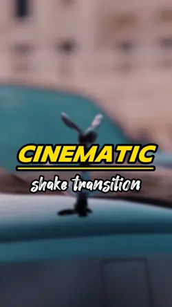 cinematic shake