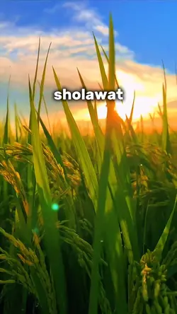 4video sholawat