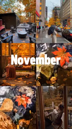 november dump