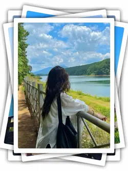 8Pic Frame Aesthetic