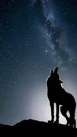 Wolf Howl 