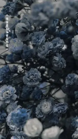 🎧泪从喜中来 Remix🎧 + 2 📸