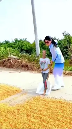 trendmomentos