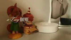 home vlog