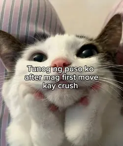kabado bente
