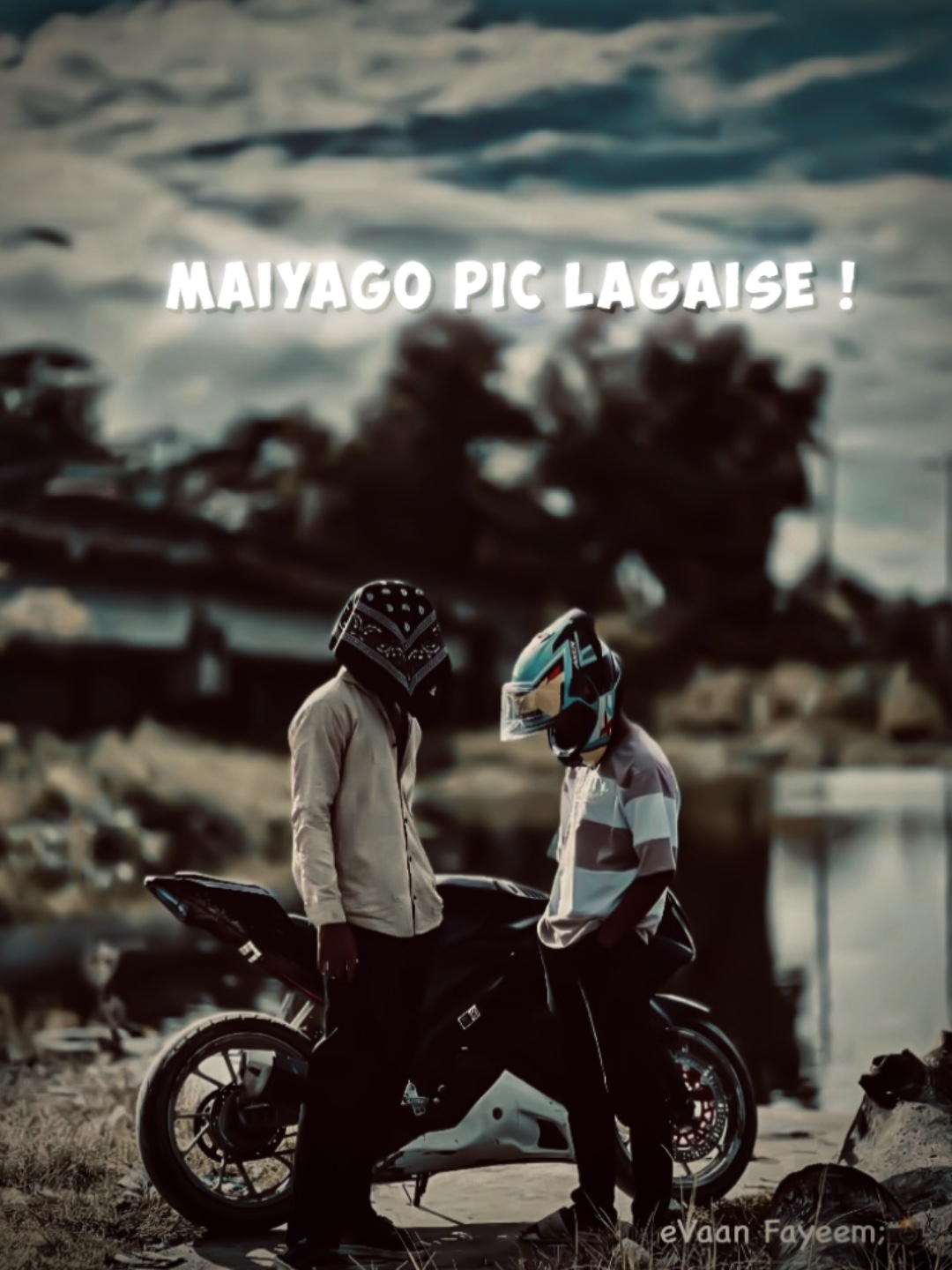 Cover Picture