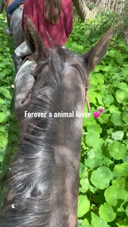 Loving animals 