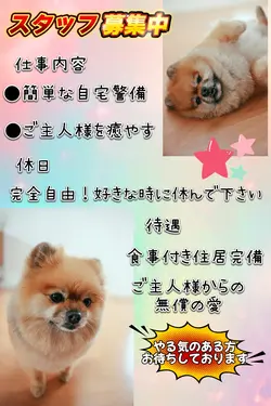 写真２枚　求人ポスター