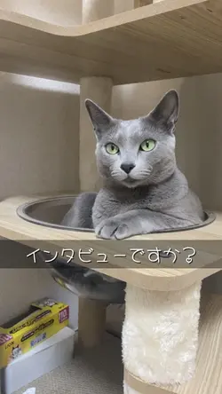 インタビューですか？