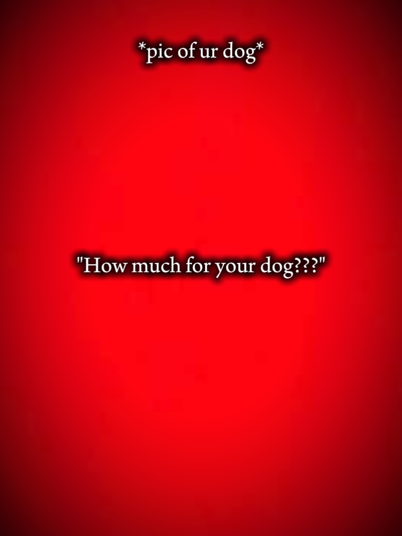 ¿Cuánto por tu perro?