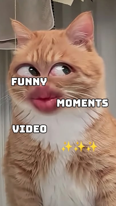 VIDÉO DES MOMENTS DRÔLES