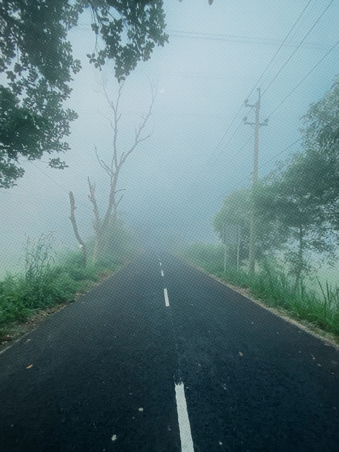 শীতের সকাল কুয়াশা