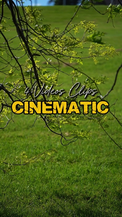Cinematic 4 Videos 