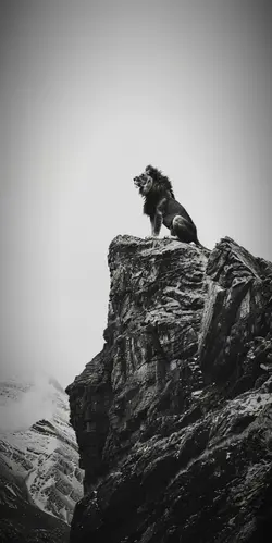 when I see you again