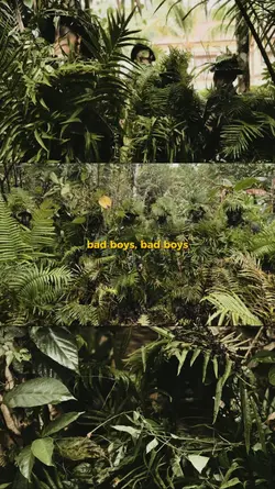 bad boys bad boys