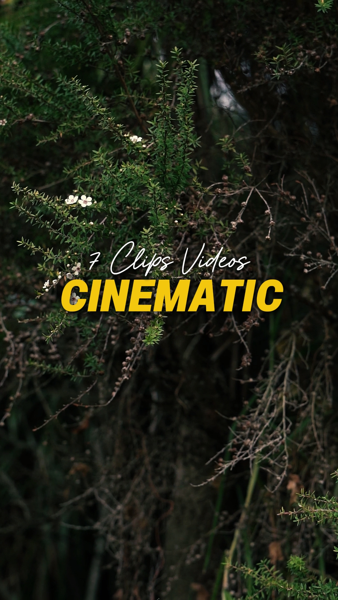 Cinematic 7 Videos