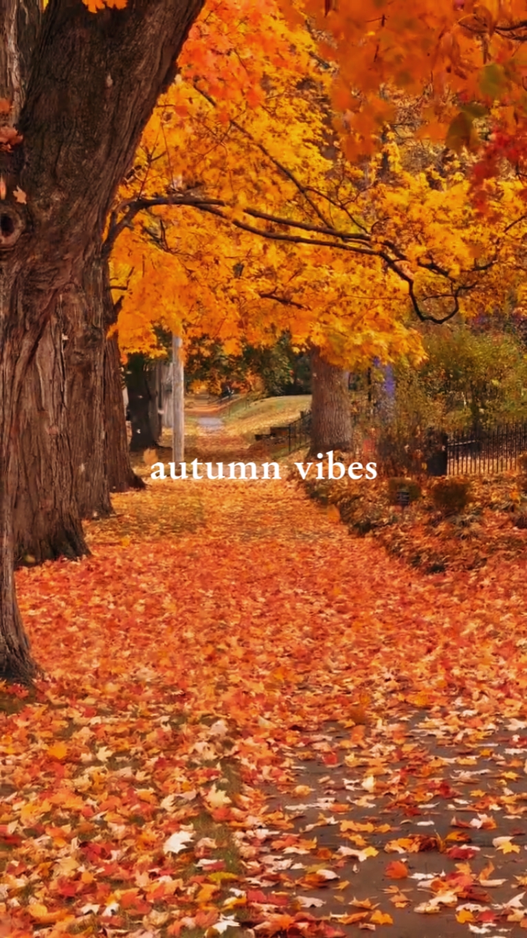 autumn vibes